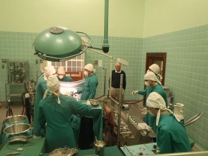 organ donor