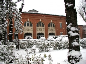 Toulouse University