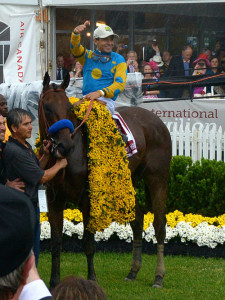 American Pharaoh. Photo: Maryland GovPics - 2015 Preakness Stakes.