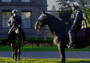 Toronto Police Service officers. Photo: Wikipedia.