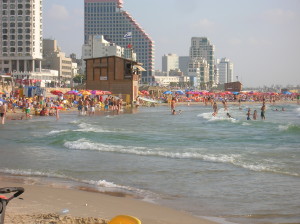 The Tel Aviv Promenade/beach. el Aviv claims to be the friendliest city in the world for dogs. Photo: Wikipedia.