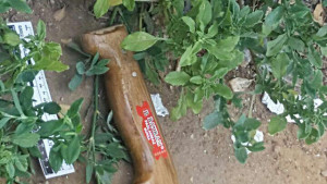 The knife used in Monday's stabbing attack in Jerusalem. Photo: Jerusalem Police.