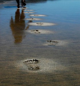 beach walk