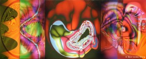 lederberger. The Mystery of Conception