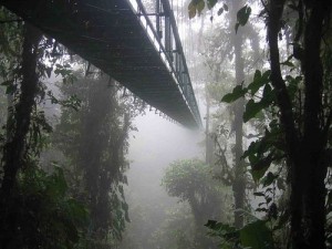 skywalk costa rica
