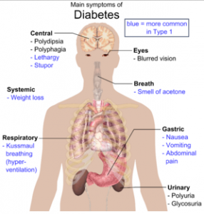 diabetes Main symptoms of diabetes. Photo: WikiCommons.
