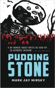 The book jacket of Puddingstone. Photo: Amazon.