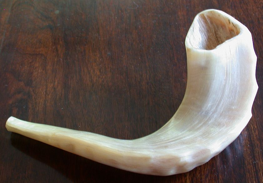 A shofar, the ram's horn blown during the Jewish high holidays. Photo: Wikipedia.